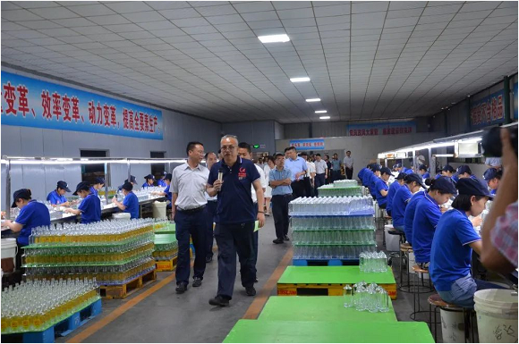 泸州MK官网玻璃 泸州MK官网玻璃