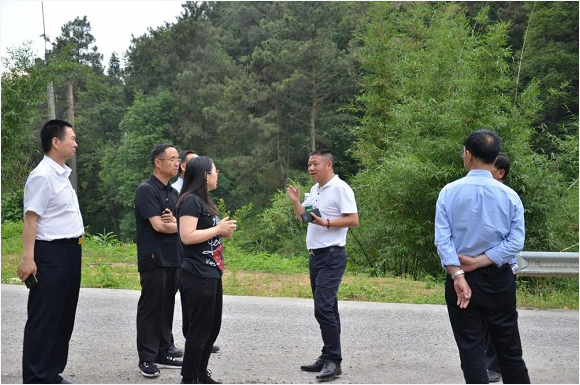 泸州MK官网玻璃 泸州MK官网玻璃