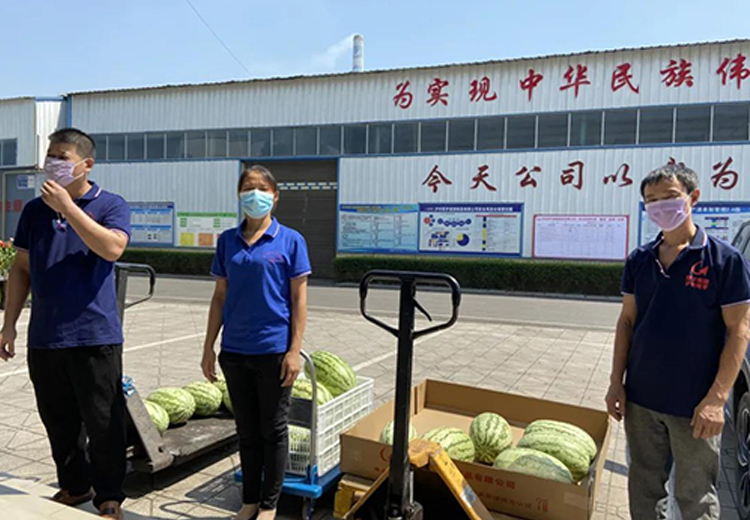 MK官网集团组织开展夏日送清凉系列活动